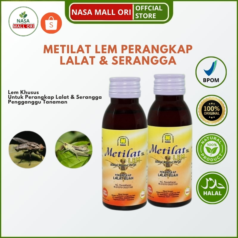 Metilat Plus Perangkap Lalat Buah Lem Lalat Buah Pengendali Hama Tanaman