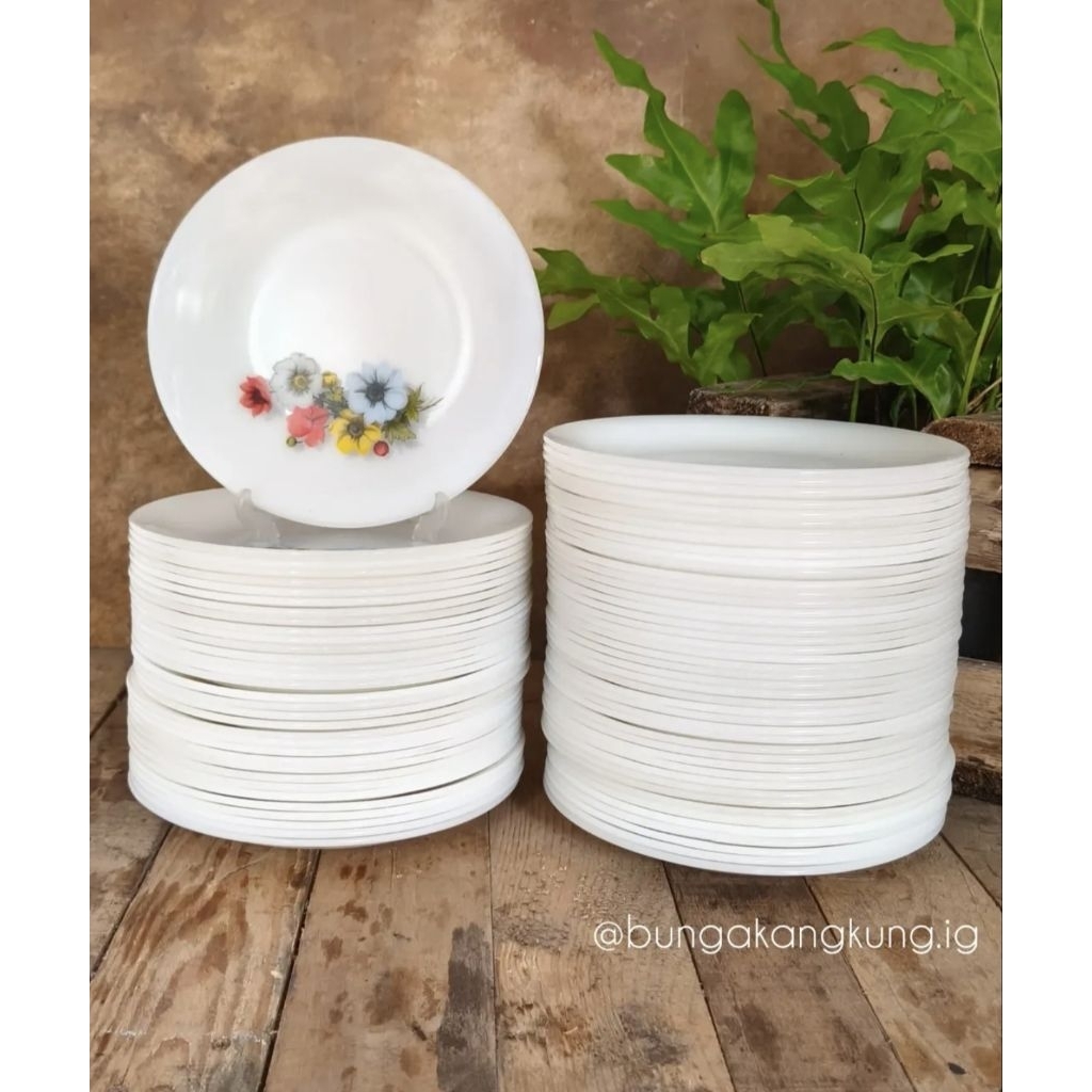 Piring makan Arcopal France ±23cm