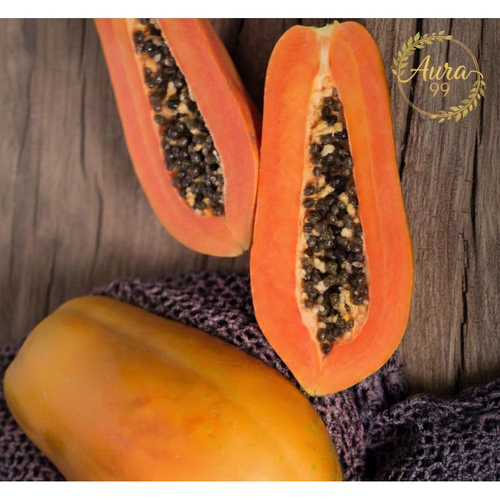 BENIH PEPAYA KALIFORNIA IPB9| BENIH PEPAYA SUPER UNGGUL PREMIUM