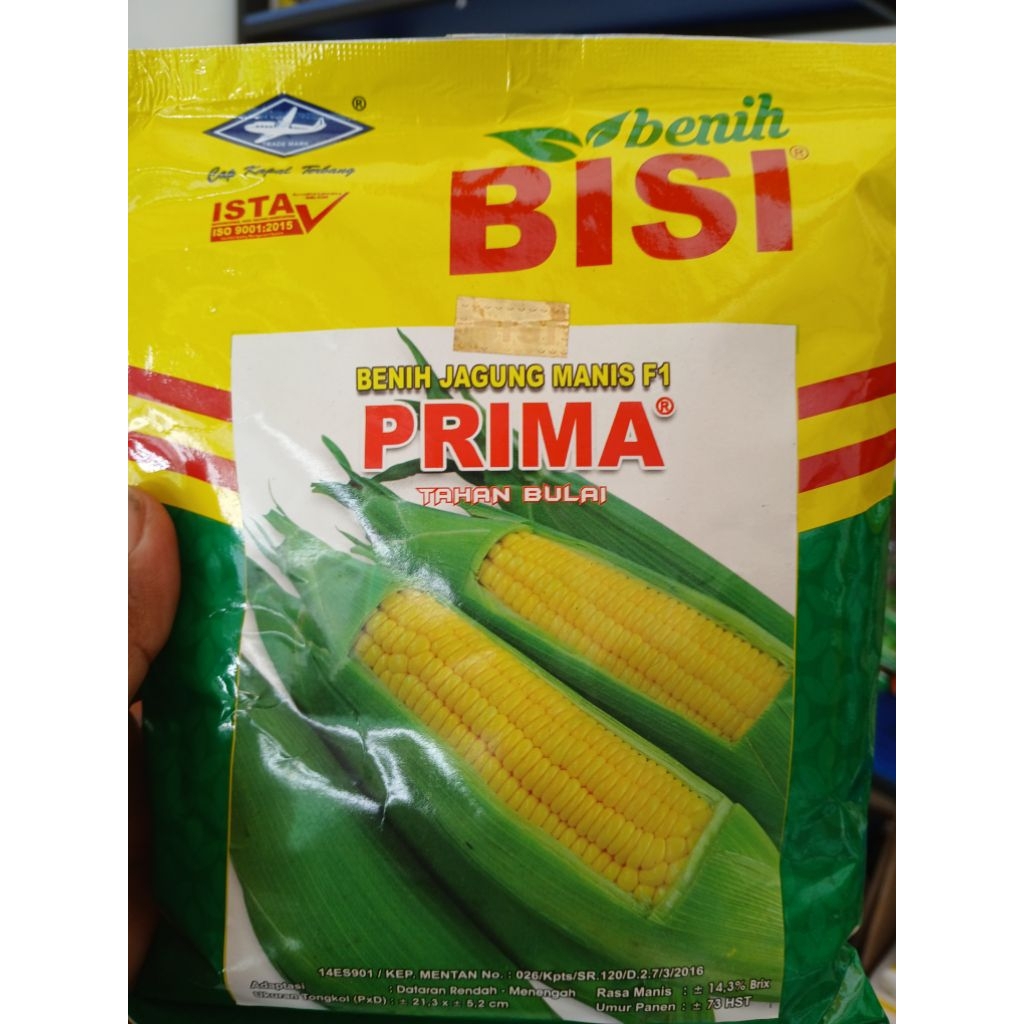 JAGUNG MANIS PRIMA