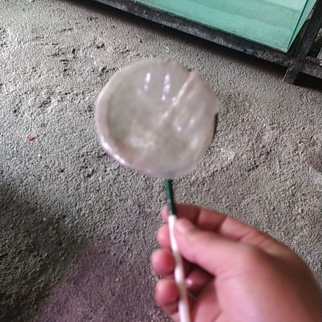 jaring orna orna orna