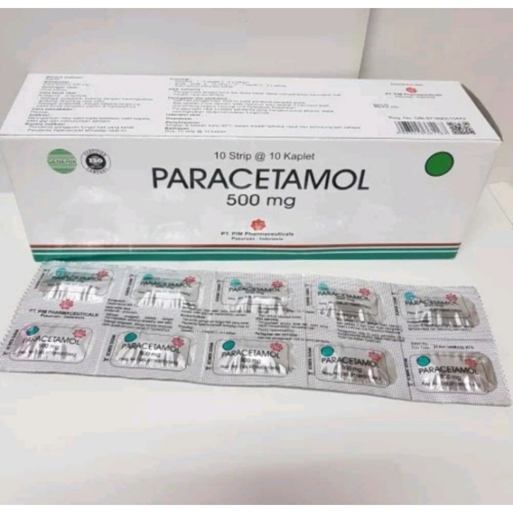 paracetamol 500 mg 100 tablet