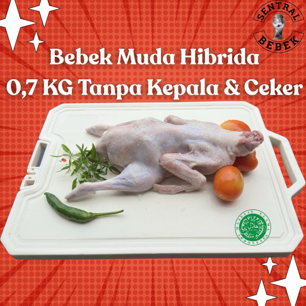 Daging Bebek / Bebek Hibrida 0.7 KG Utuh Atau Potong