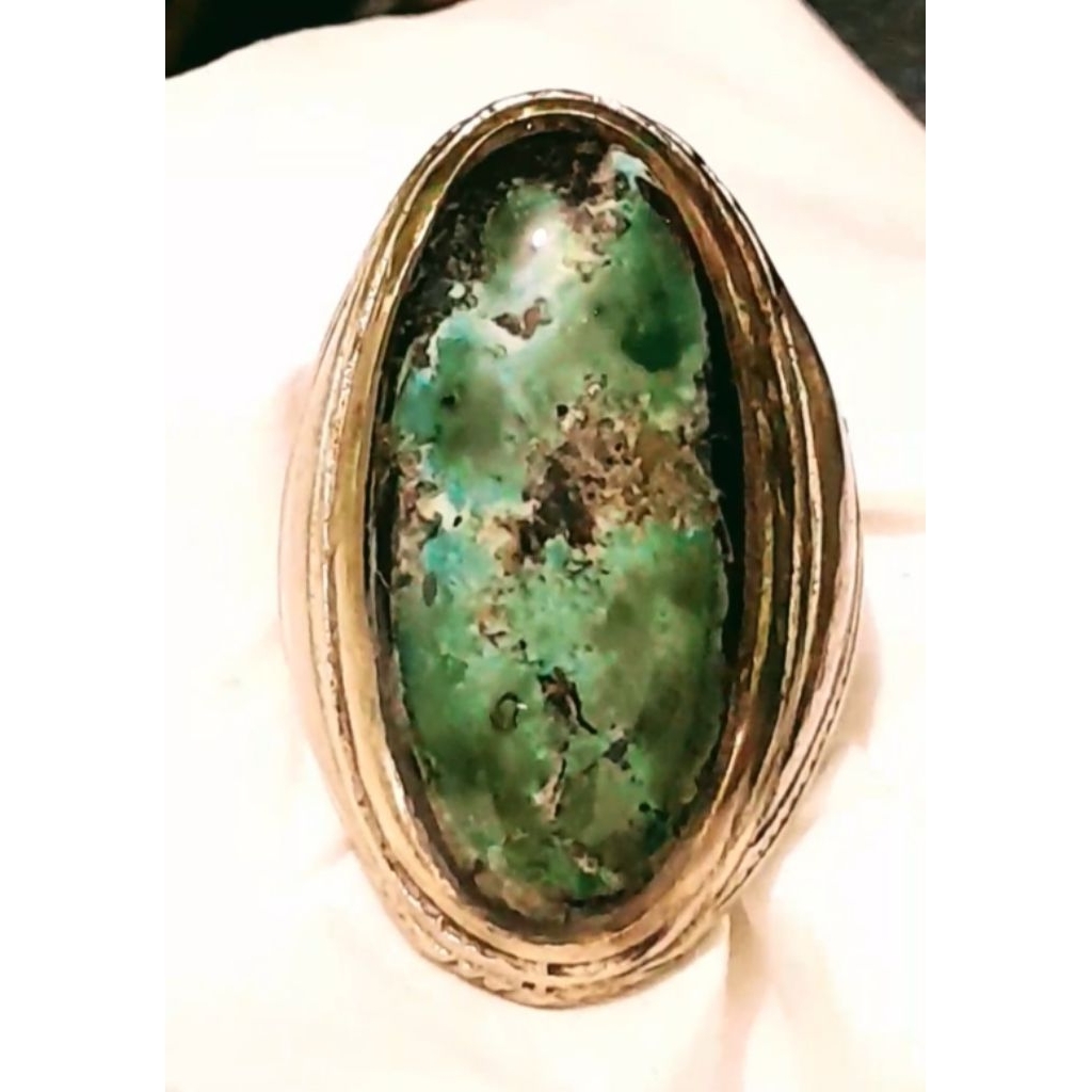 Pirus Persia Hitam gradasi ceplok kuro size jumbo