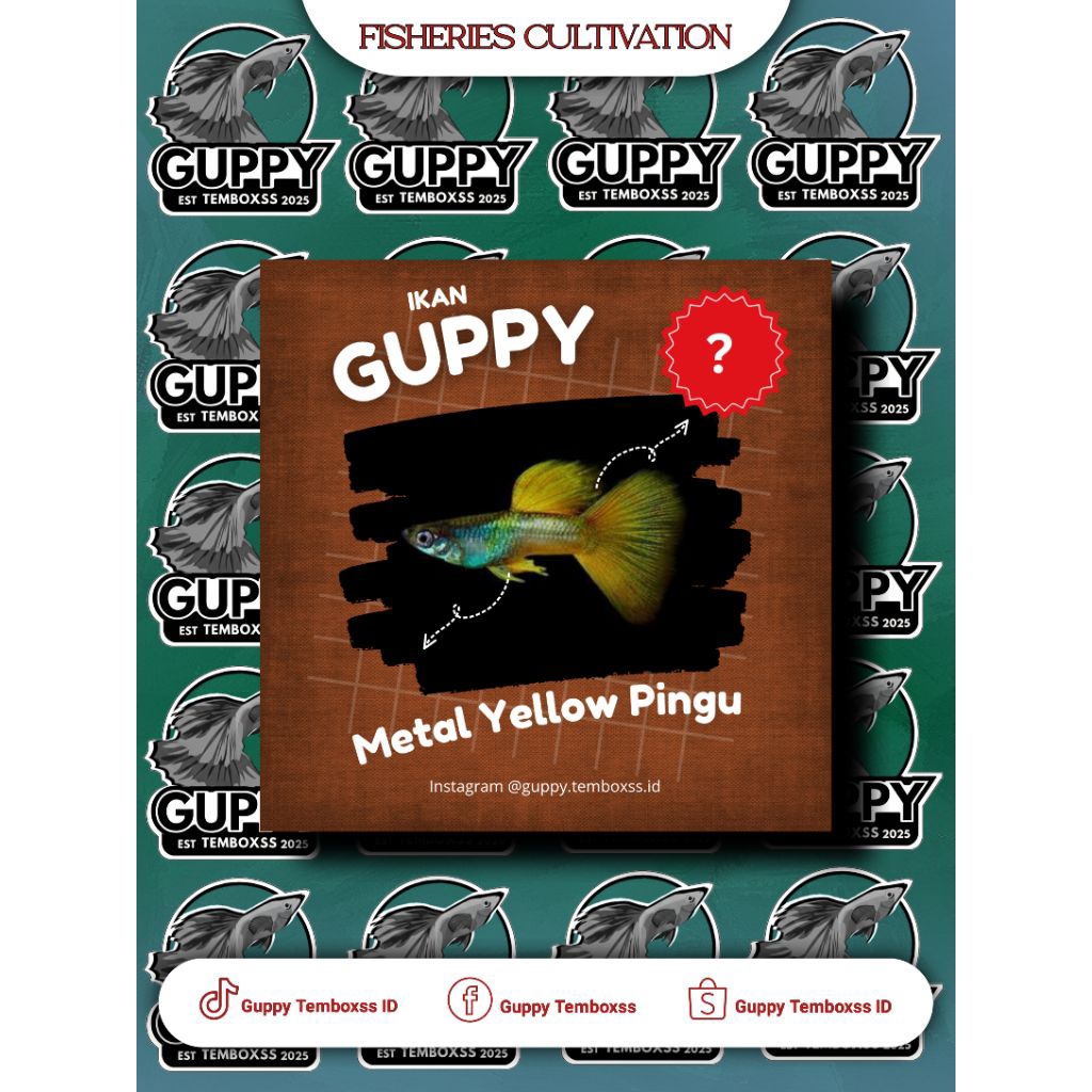 Hiasan Aquarium - Guppy Metal Yellow Pingu