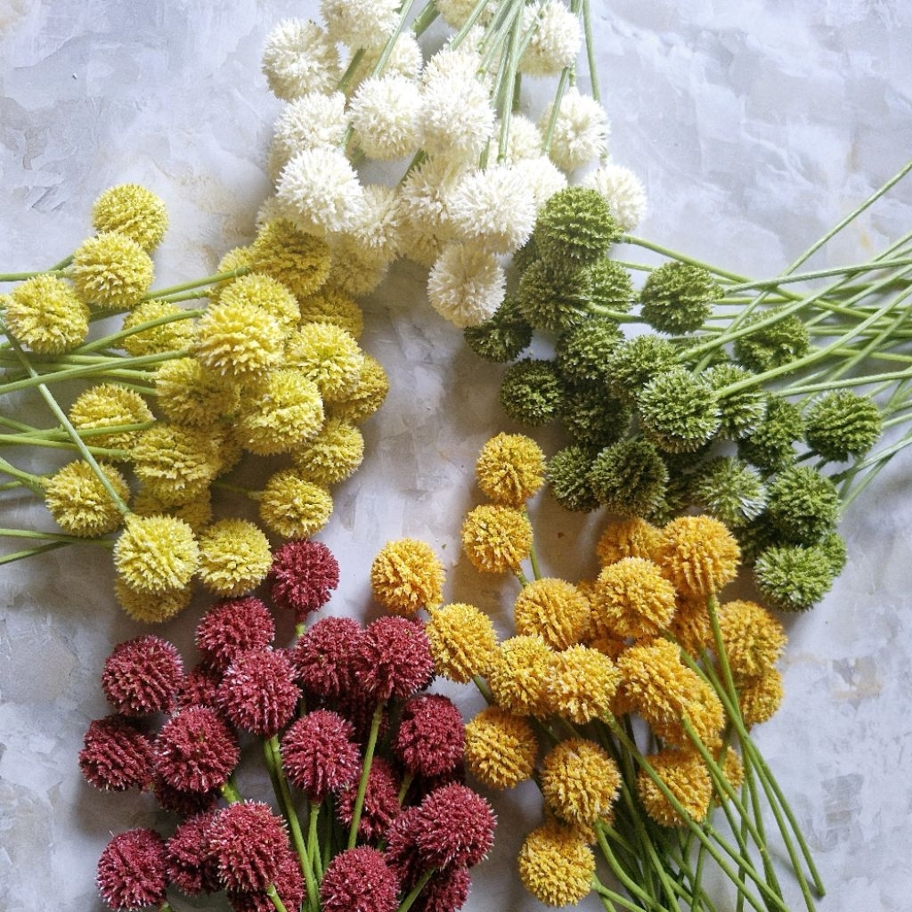 BUNGA BILLY BALL / CRASPEDIA pompom dandelion artificial bahan hias mahar seserahan buket dekorasi