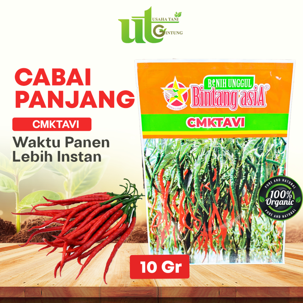 Benih CMK TAVI Bintang Asia 10gr