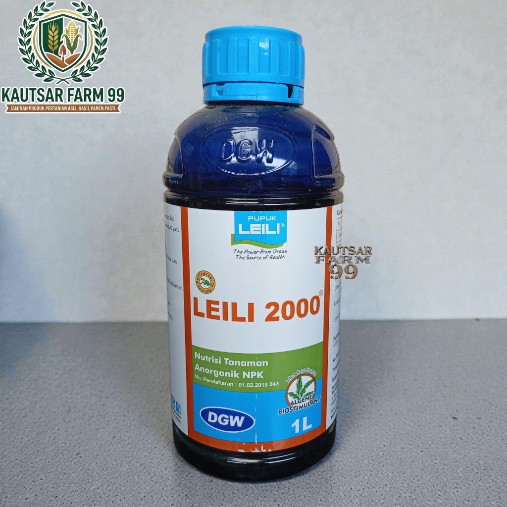 Pupuk leili 2000 1 liter sangat efektif untuk fase vegetatif memperbanyak anakan padi