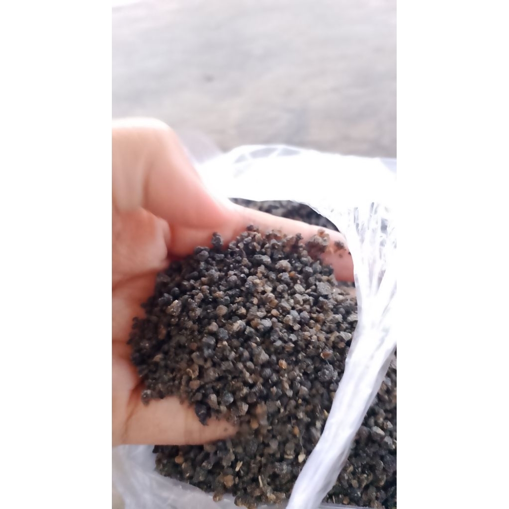 karak tiwul atau nasi tiwul instan.