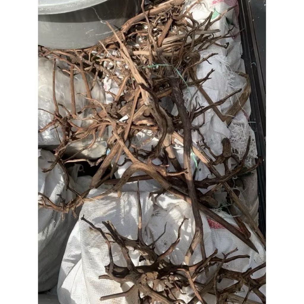 Kayu Aquascape / Rosamala / Rasamala / Aquascape