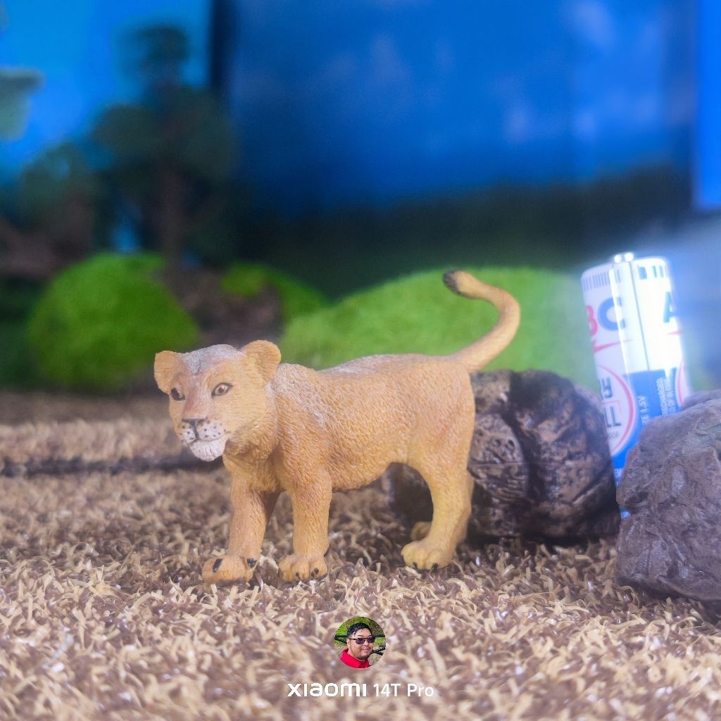 Collecta 2010 Lion cub figure