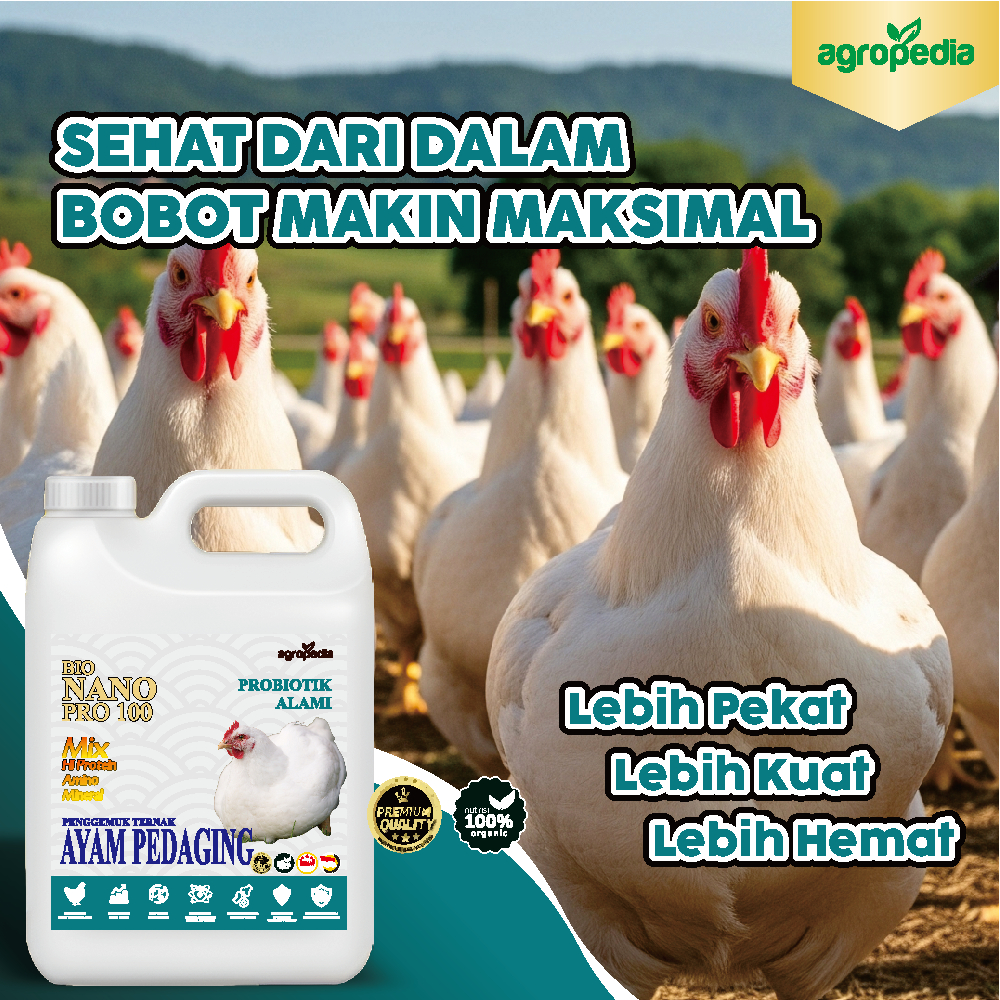 Bio Nano Pro 100 Suplemen Booster Probiotik AYAM PEDAGING / meningkatkan bobot ternak / mempercepat 