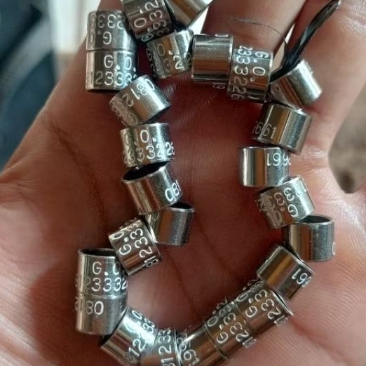 ring merpati baja ketrok (sudah ada nama)