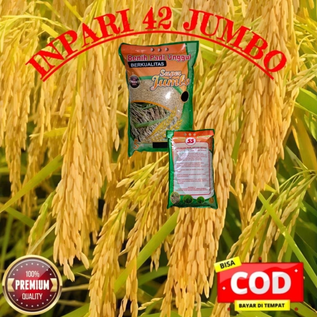 BENIH BIBIT PADI INPARI 42 JUMBO SUPER UNGGUL BERKUALITAS KEMASAN 5KG