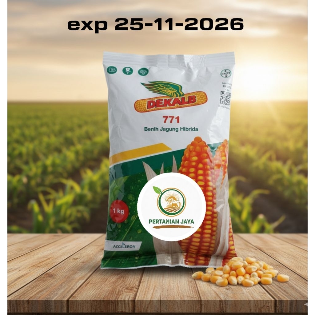 Benih Jagung Hibrida DK 771 - 1kg, Tahan Penyakit, Hasil Tinggi, Panen Cepat