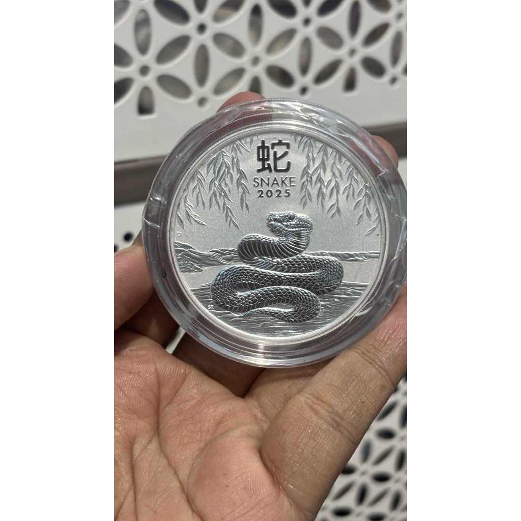Koin Silver Perth mint 2oz Lunar snake 999