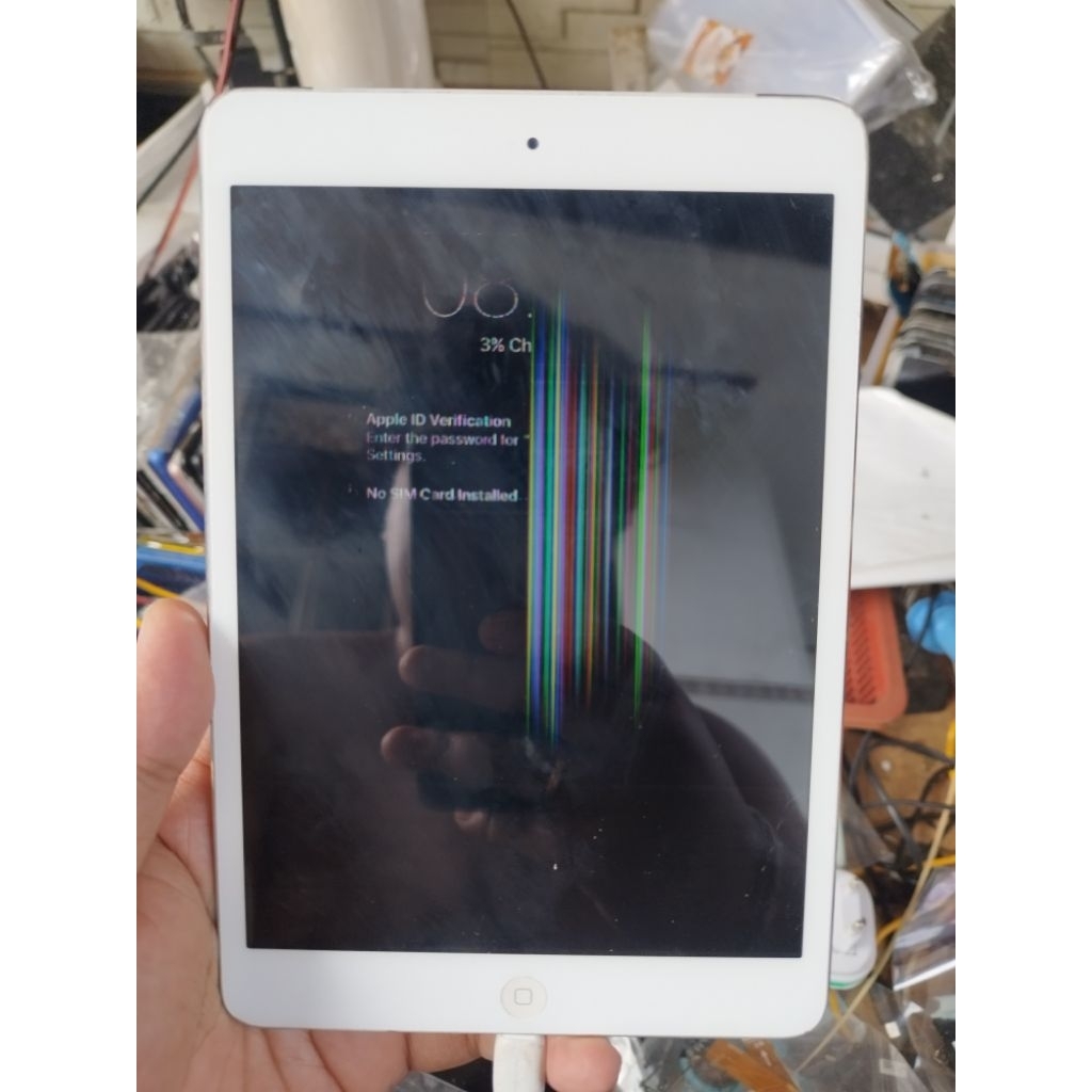 Ipad A1455 Minus LCD