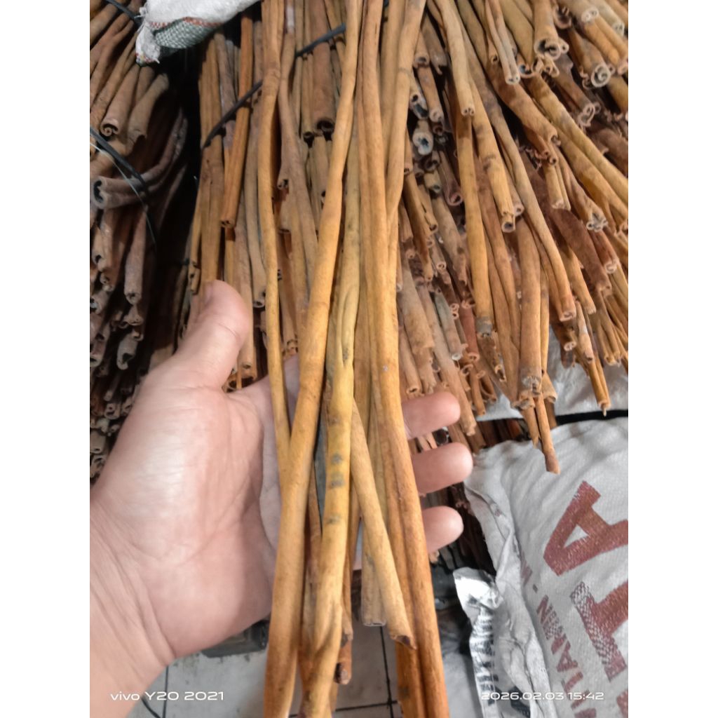 KAYU MANIS STIK PANJANG