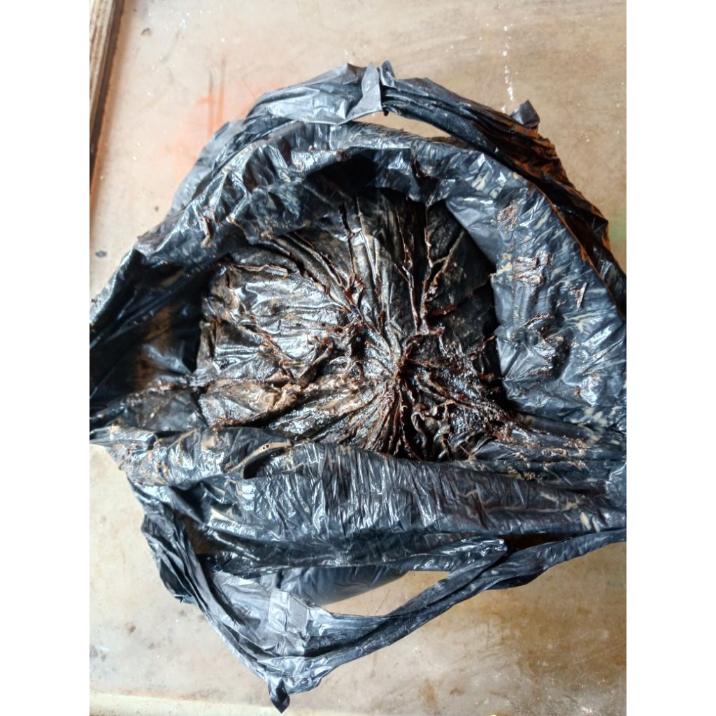 Dempul Perahu dan kayu (500 gram, 1 kg )