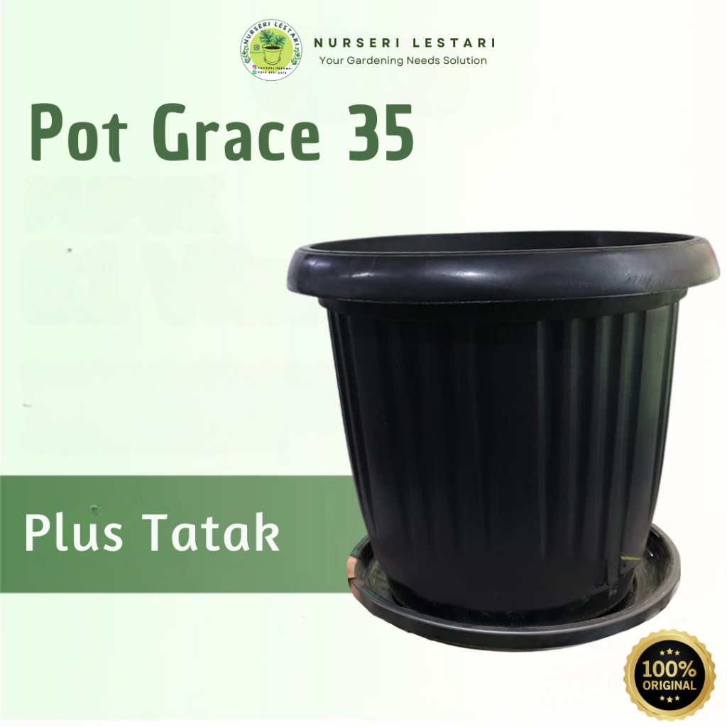 Pot Bunga Tanaman Grace 35 Hitam Berkuping
