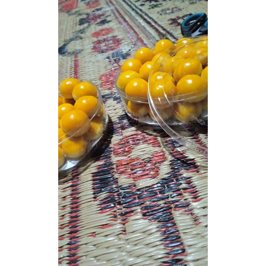 NASTAR / NASTAR PREMIUM