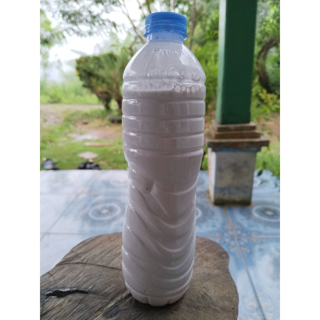 Getah Karet Alam asli getah karet cair isi 600ml