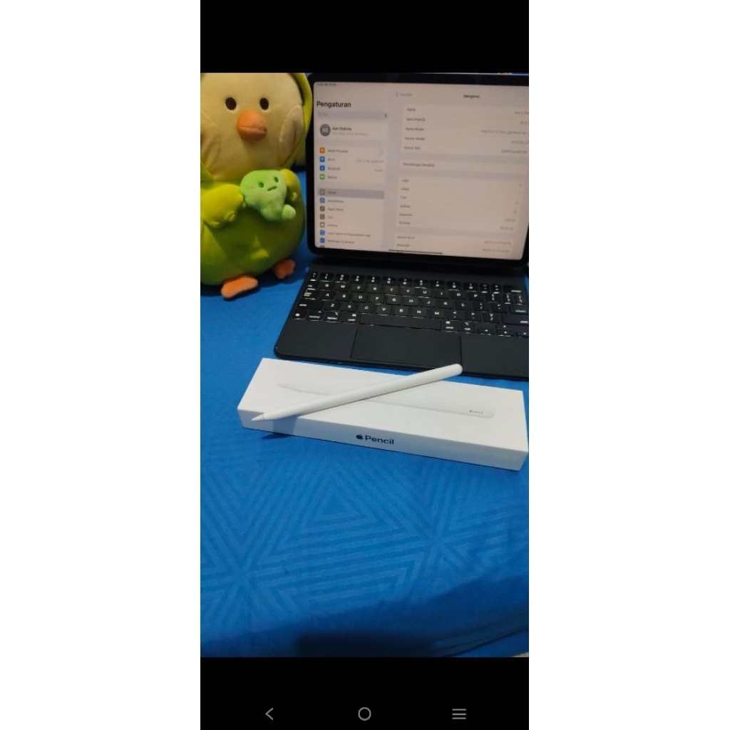 Apple iPad Pro 4th Gen 2020 11 Inch 128GB Wifi Only/Wifi Cellular 4G - Wifi Only