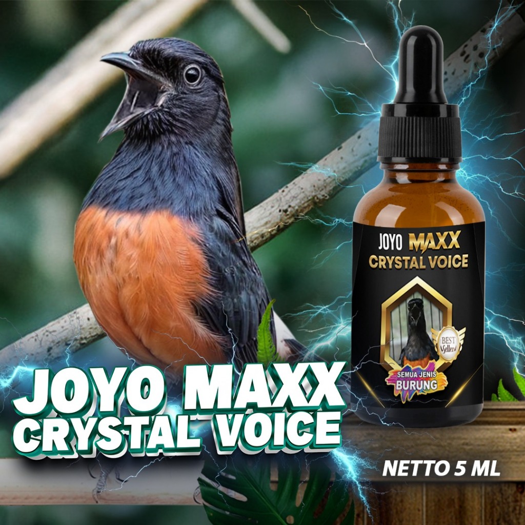 VITAMIN BURUNG SUARA JERNIH | OBAT BURUNG | SUARA BURUNG  KRISTAL | SUARA BURUNG  MERDU | MAXX CRYST