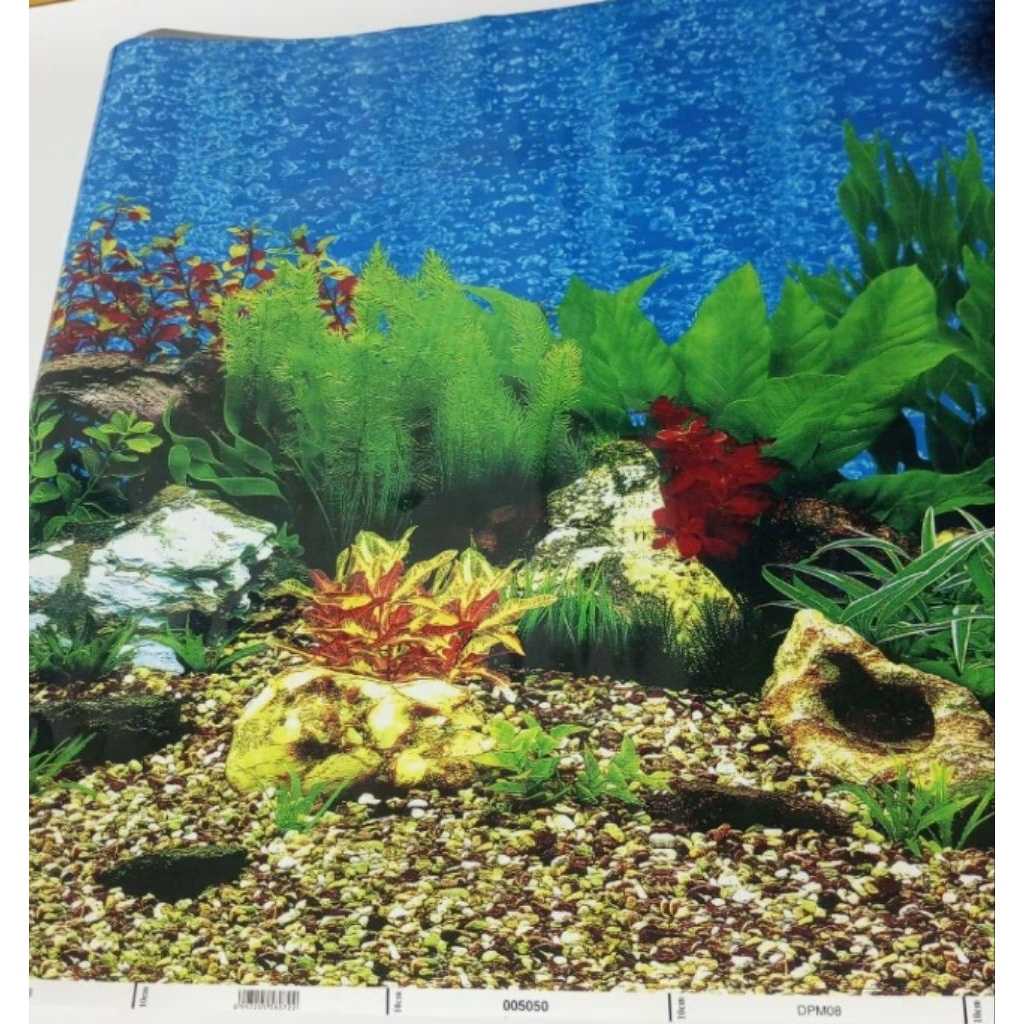 Background aquarium 50cm x100cm