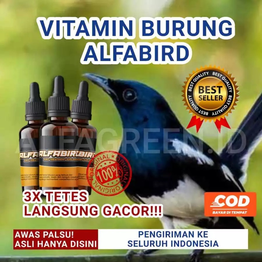 Vitamin Booster Seketika Penggacor Power Kicau Burung Stamina Meningkat