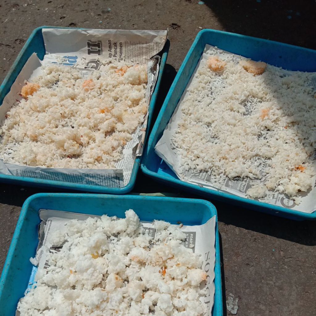Nasi Aking / Nasi Aron / Nasi Basi / Pakan Hewan