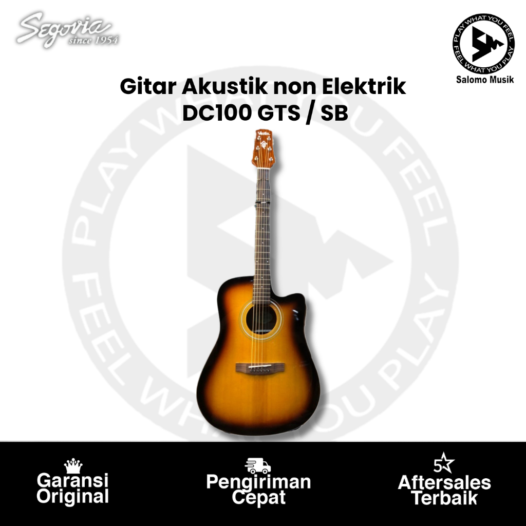 Gitar Akustik Vester By Segovia DC100 GTS Original