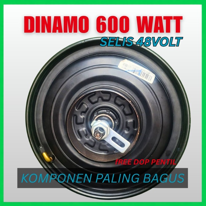 DINAMO SELIS 600 WATT TAHAN LAMA DAN AWET | DINAMO SEPEDA LISTRIK 48V / 12AH KUAT DAN AWET COCOK UNT