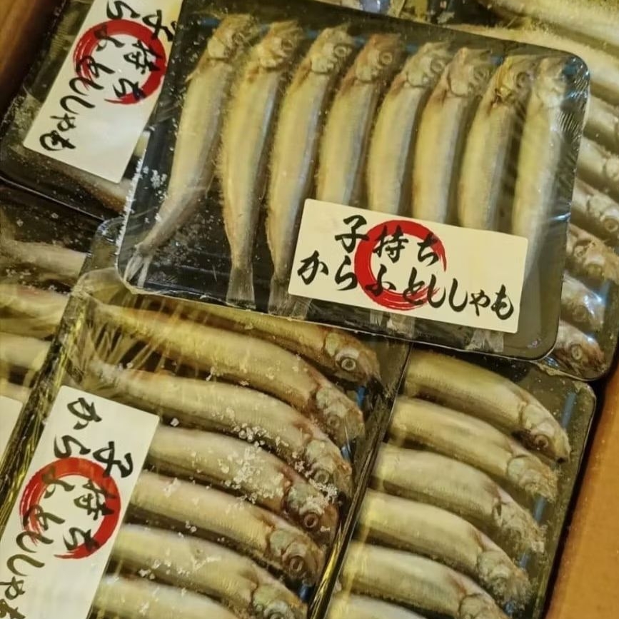 Ikan Shisamo premium fresh beku full telur