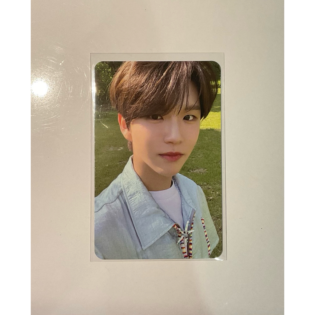 PC Photocard Official Jaehee NCT Wish Song Bird