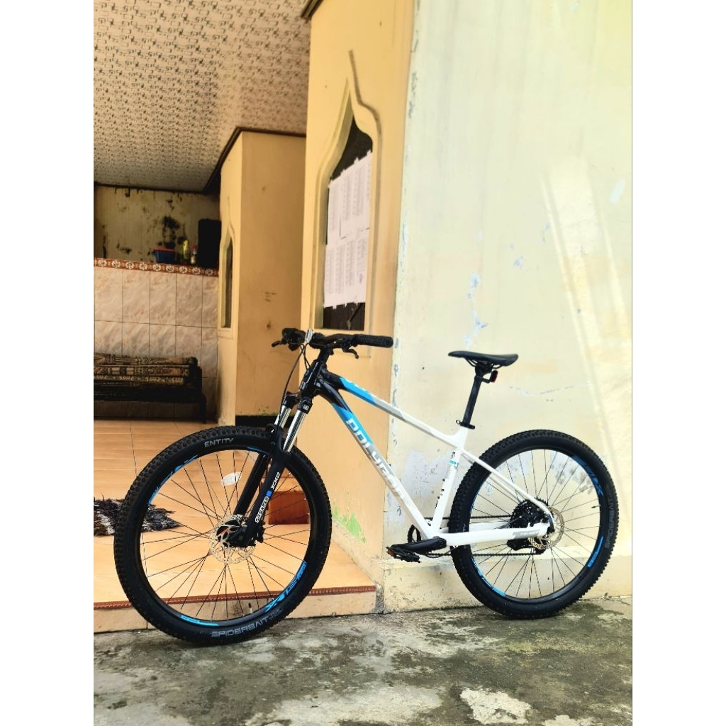 polygon xtrada 5 2025