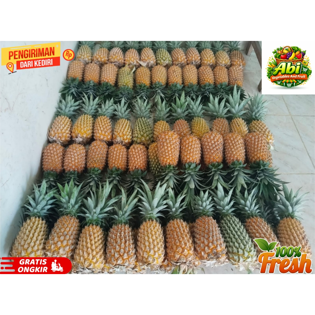 Nanas Kelud / Nanas Madu / Nanas Blitar / Nanas Manis / Grade A / 700-1000 gram Cocok Untuk Nastar