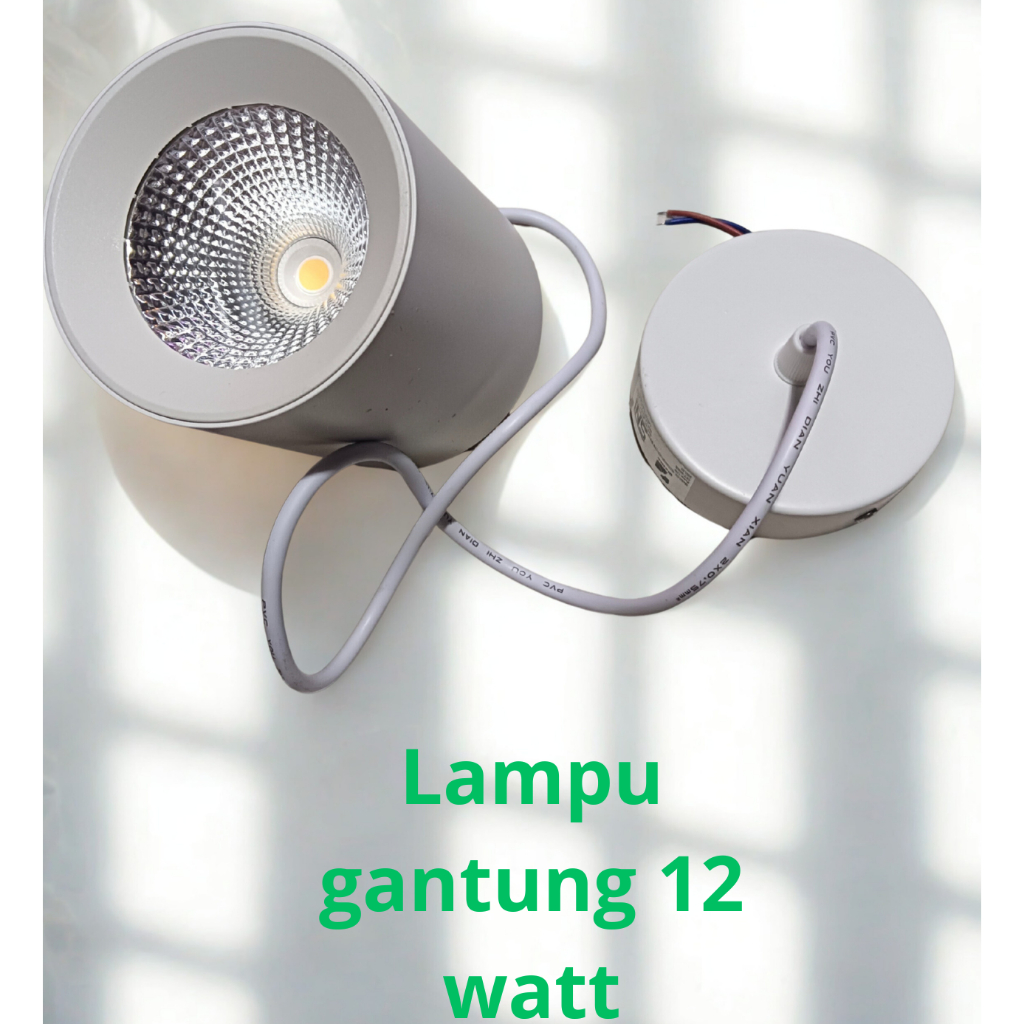 Lampu downlight gantung outbow Led 12 watt