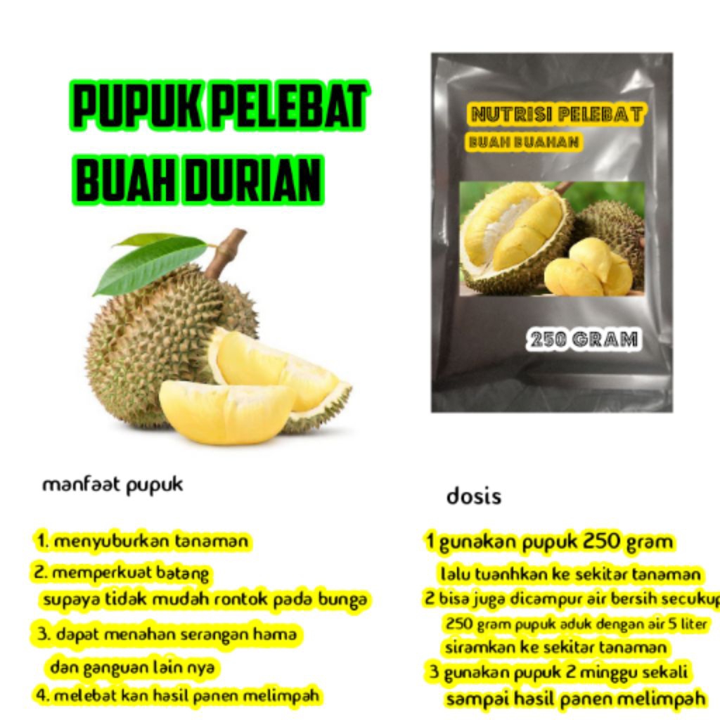 boster pelebat buah durian