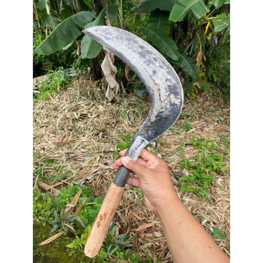 arit rumput baja isen model liwung original