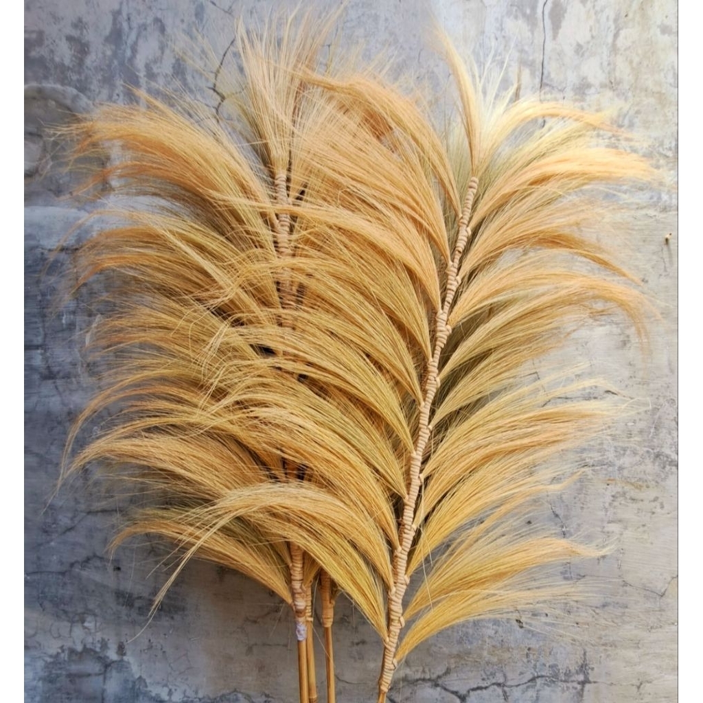 Ready !!! Isi 1 pcs Bunga rayung / Bunga Kering / daun rayung / Natural Leaf Rayung