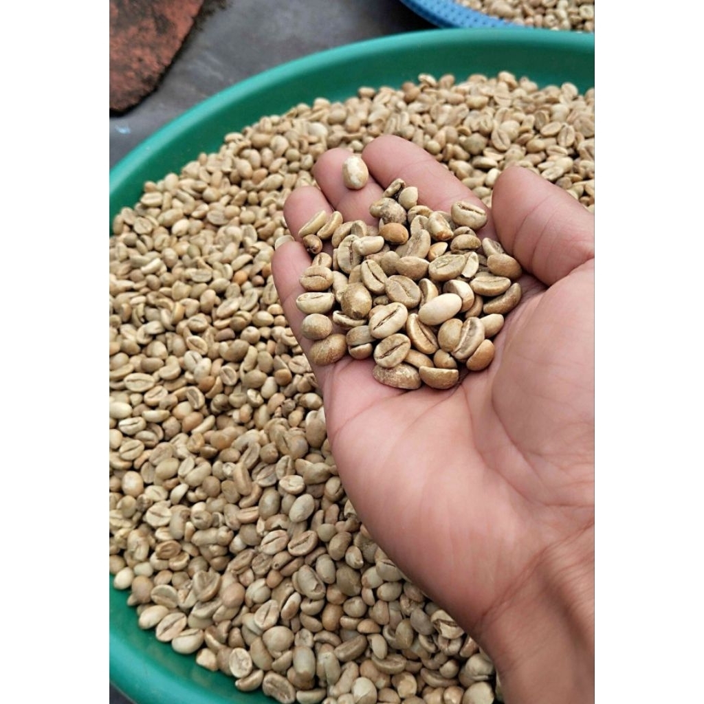 biji kopi khas temanggung