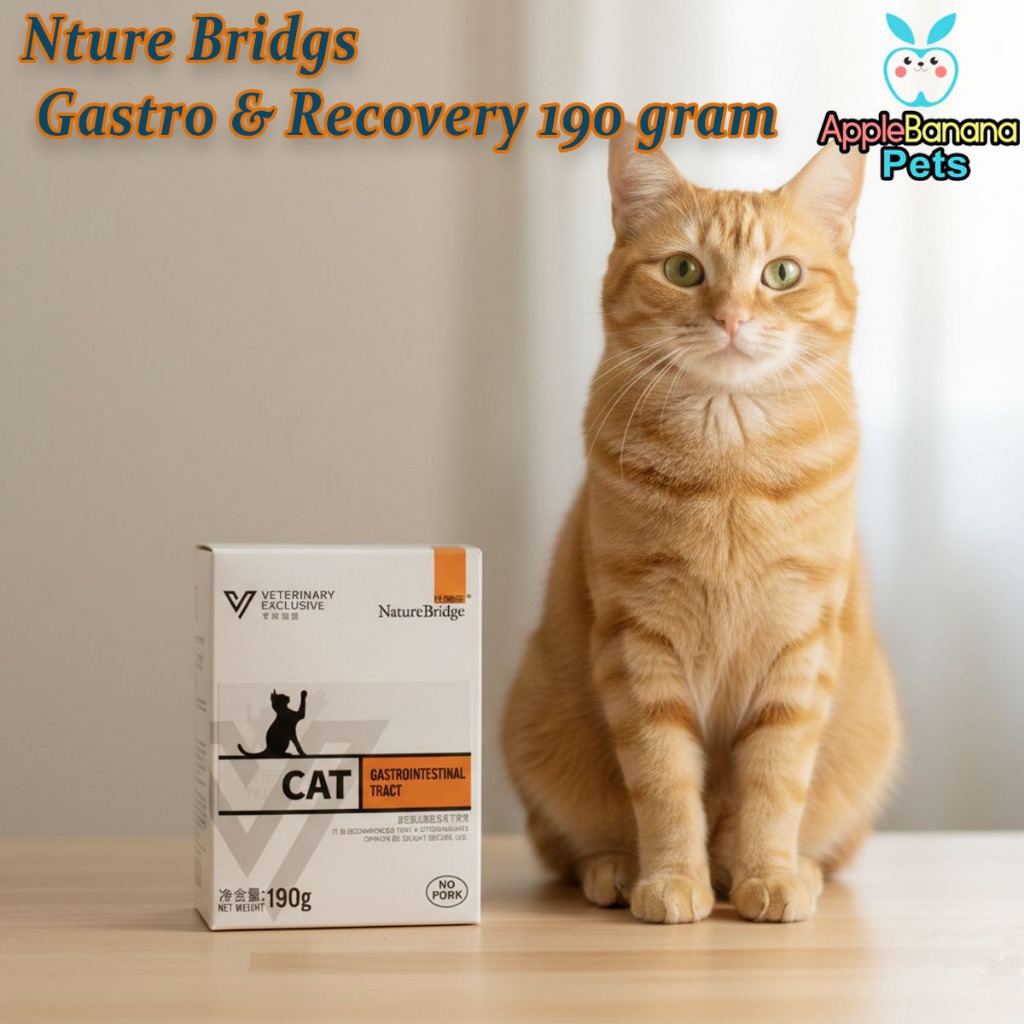 NB Nature Bridge Vet Cat Gastro intestinal Tract 190gr wet food