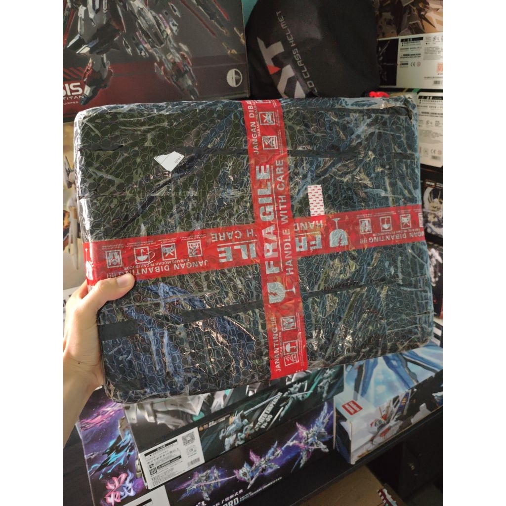 MG 1/100 JMS Astray Outframe D