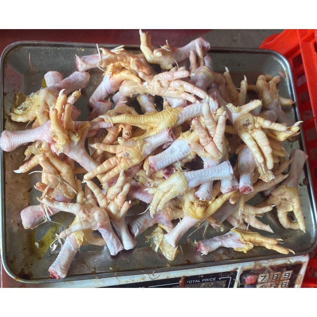 Ceker ayam KOTOR Broiler/ayam negeri kotor 5kg /ceker ayam negeri/ceker ayam murah