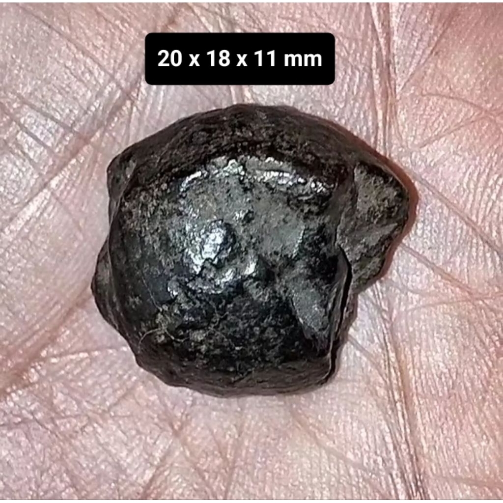 Batu Akik Bulu Landak laut nempel magnet natural