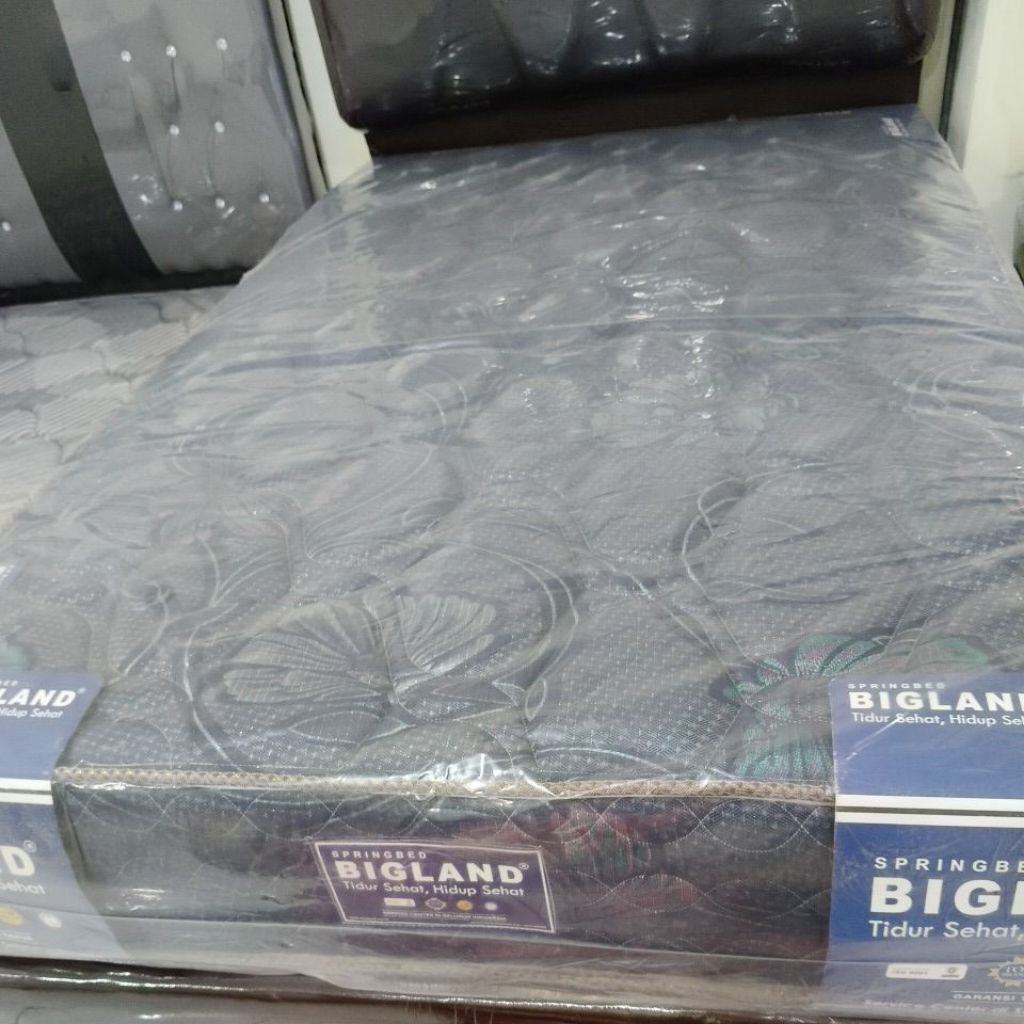 KASUR BIGLAND 120 x 200 cm