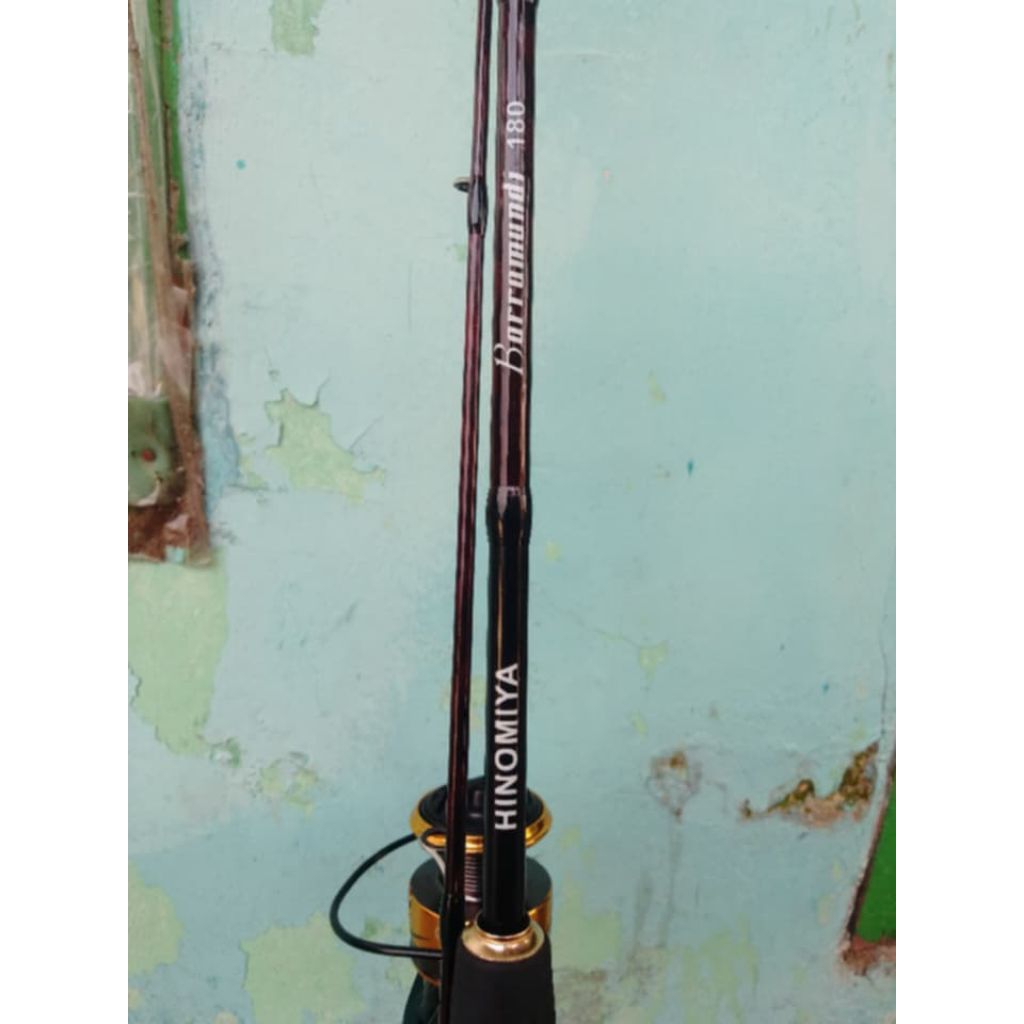 Hinomiya baramundi ulir