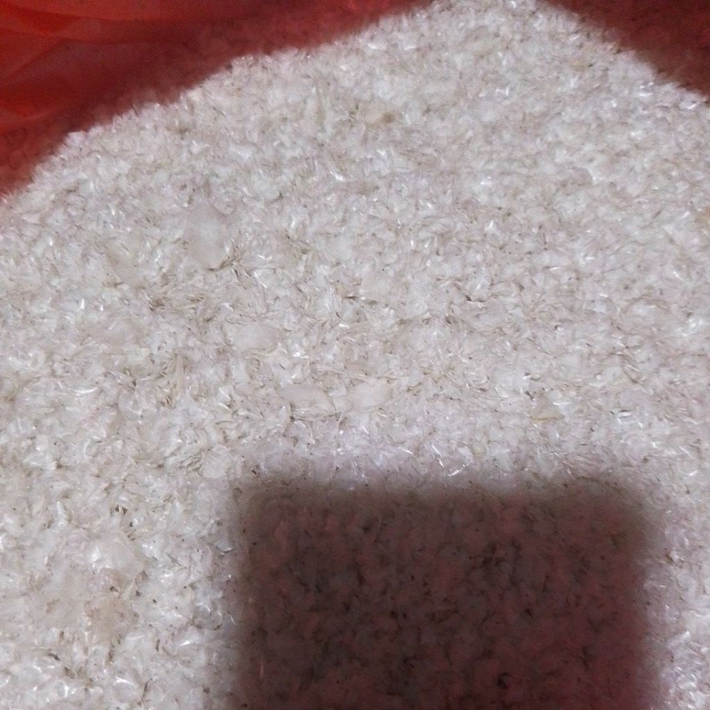 SISIK IKAN BANDENG KERING DAN BERSIH BERAT 1 KG