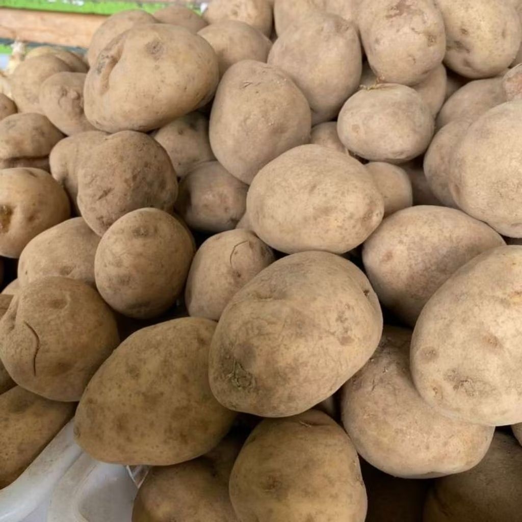 KIRIM INSTAN KENTANG DIENG / KENTANG DIENG EXPRESS / KENTANG DIENG MURAH / TUKANG SAYUR ONLINE